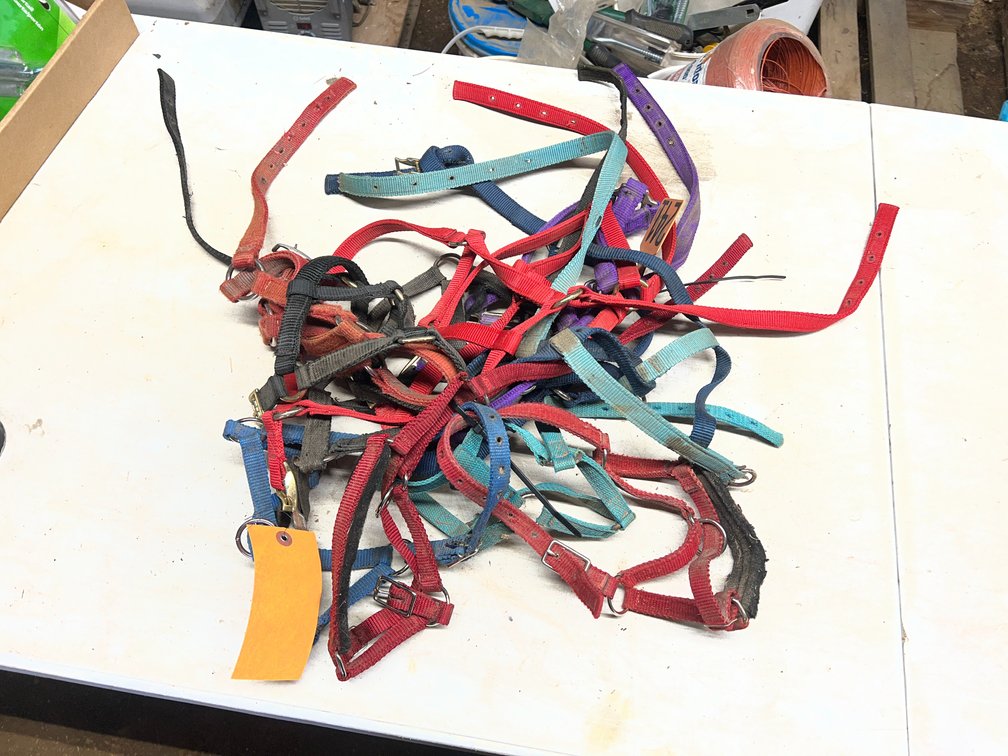 (12) Miniature Halters