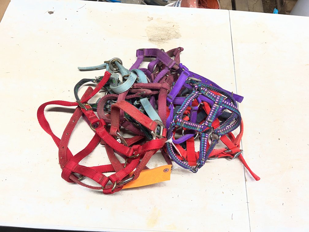 (12) Various Sized Halters