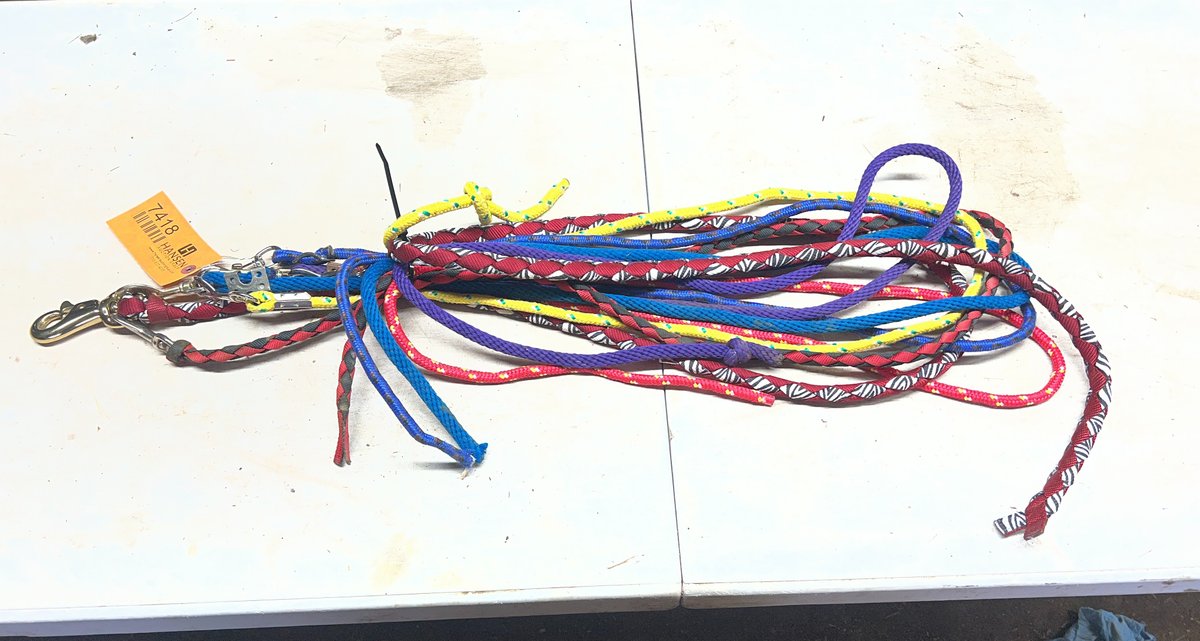 (7) Lead Ropes