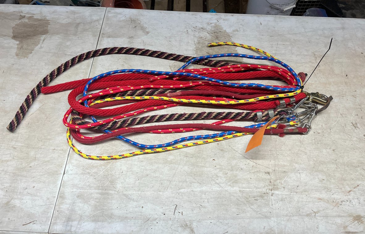(7) Lead Ropes