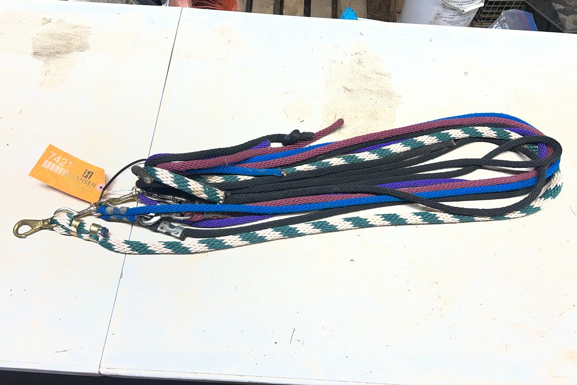 (7) Lead Ropes