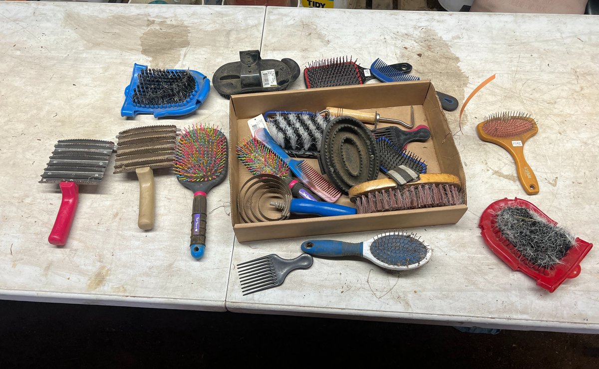 Misc. Grooming Tools
