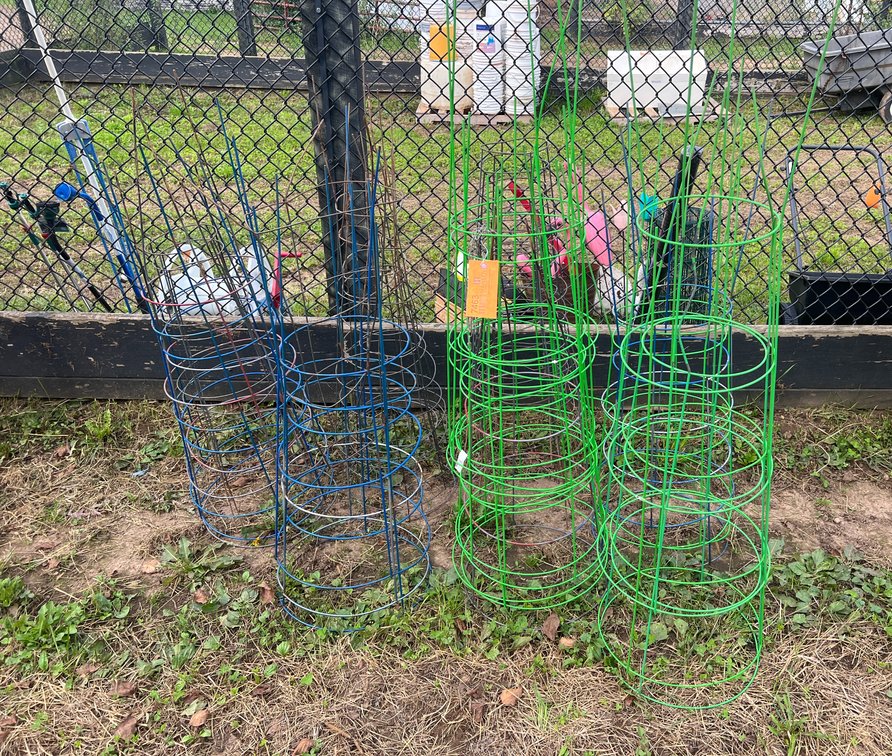 Multiple Tomato Cages