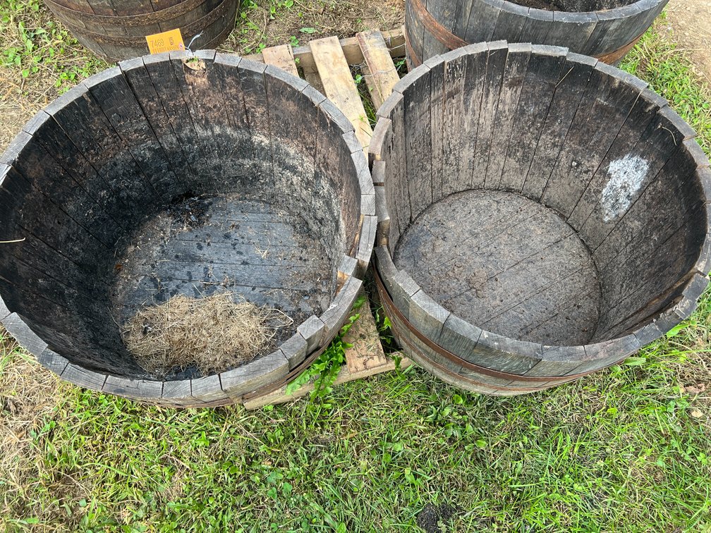 (2) Jack Daniels Whiskey Barrel Planters