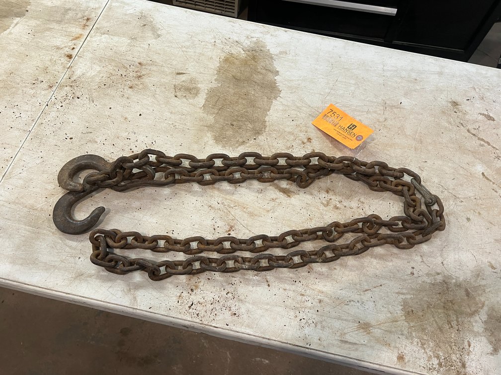 10' 5/16" Chain with Hooks