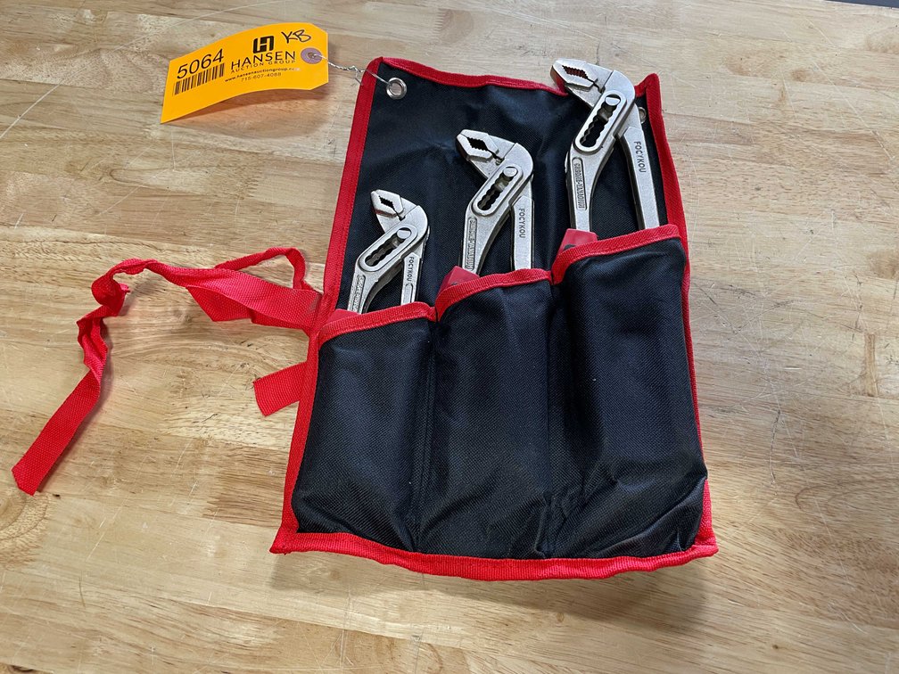 Adjustable Pliers Set in Case (PR10)