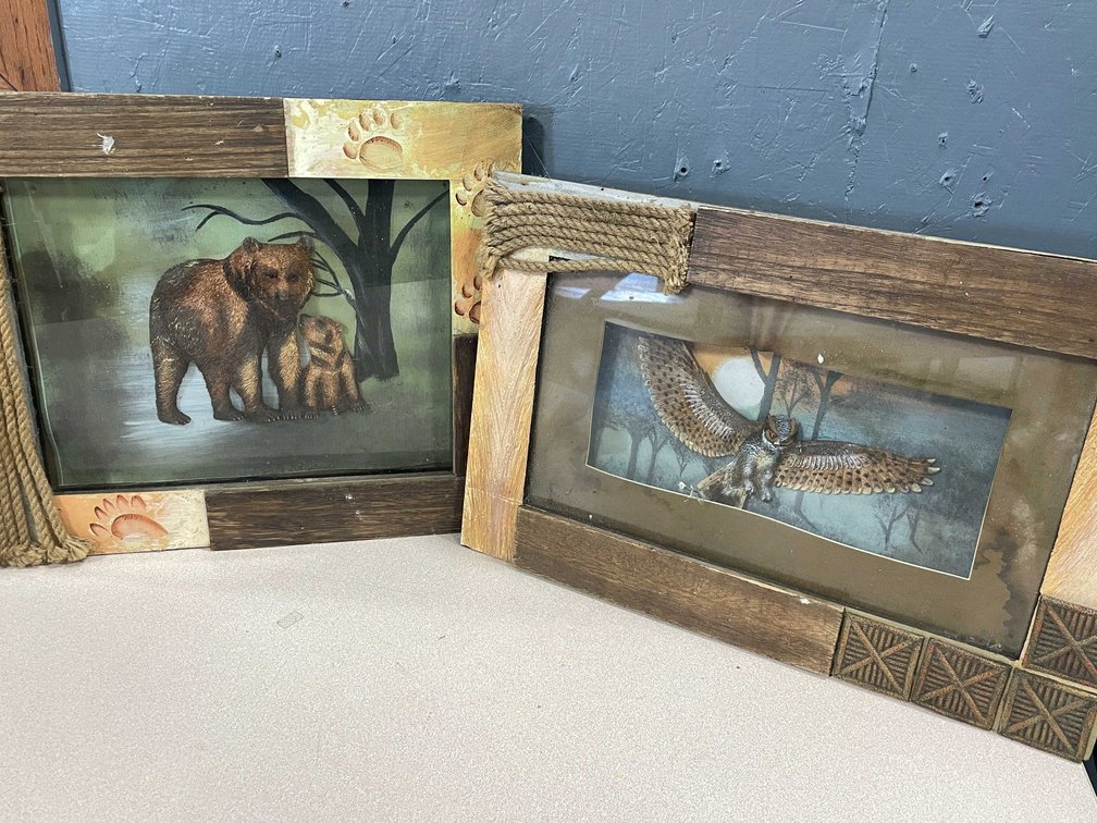 Owl and Bald Eagle Pictures (T4)