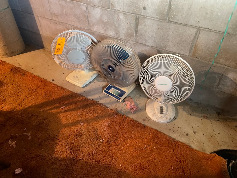 (3) Oscillating Fans