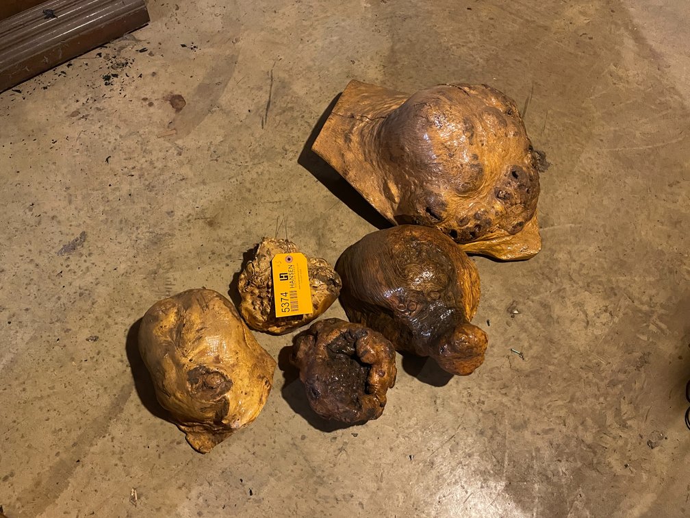 (5) Decorative Wood Burls