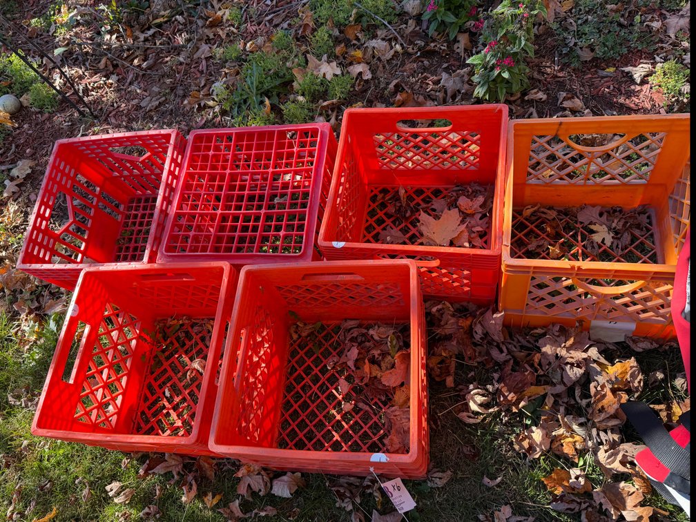 Plastic Storage Containers