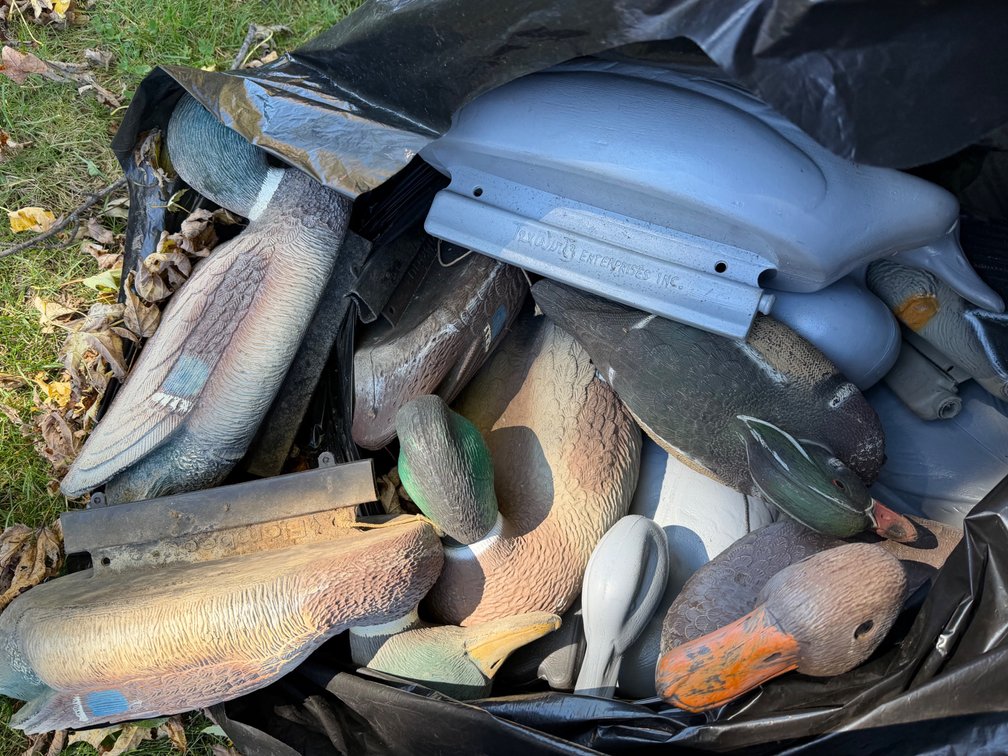Duck Decoys