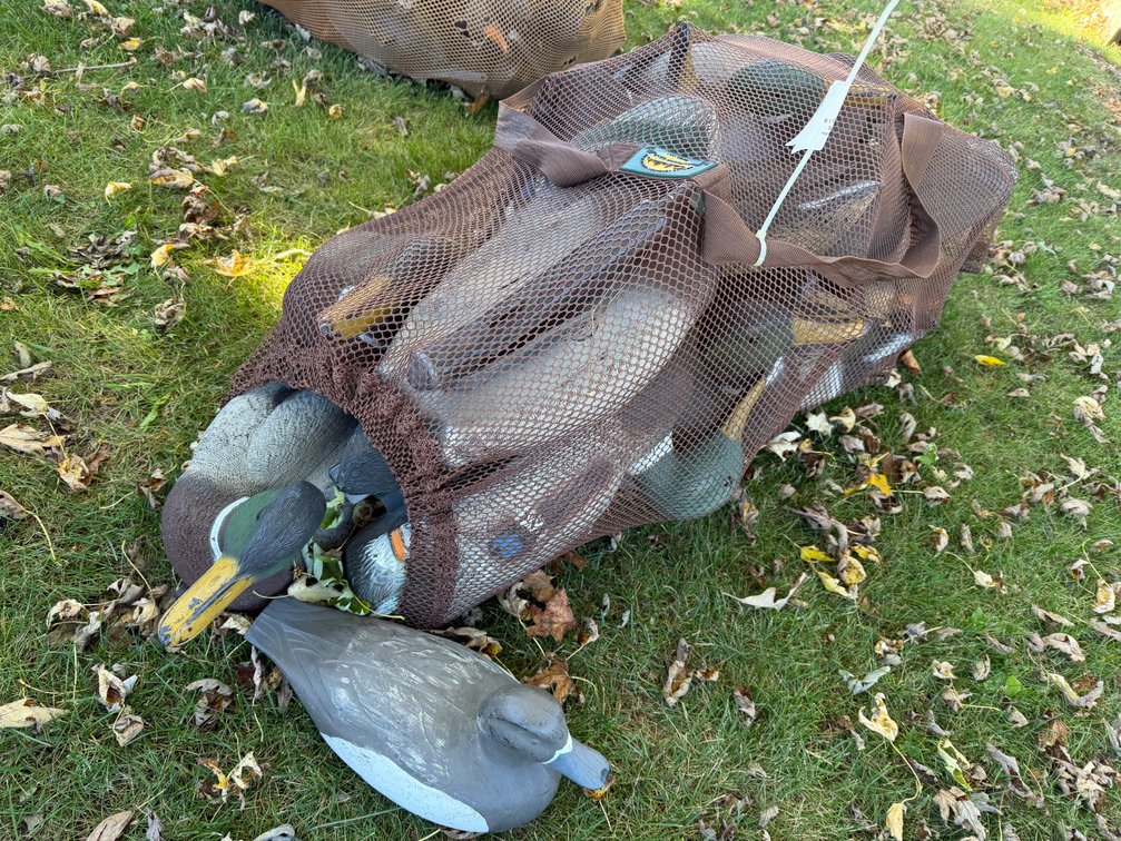 Duck Decoys
