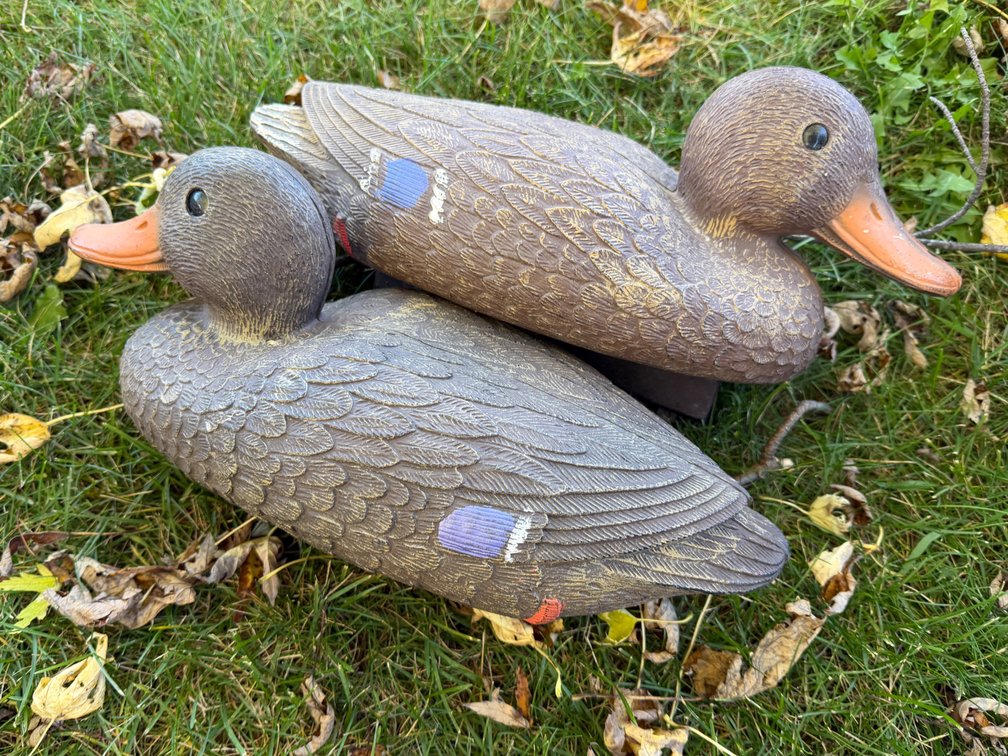 Duck Decoys
