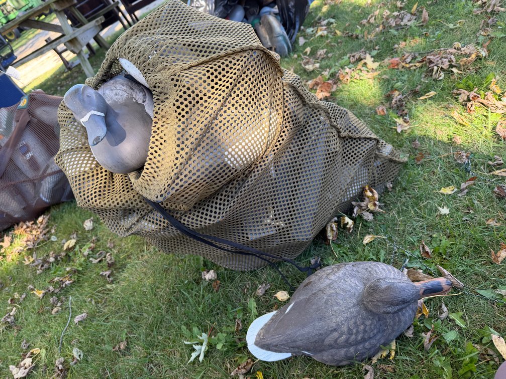 Duck Decoys