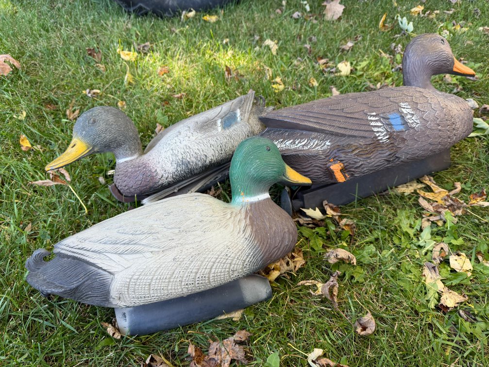 Duck Decoys