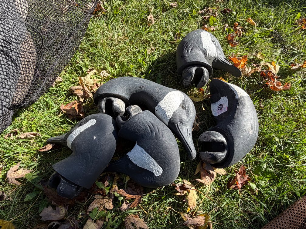 Goose Decoys