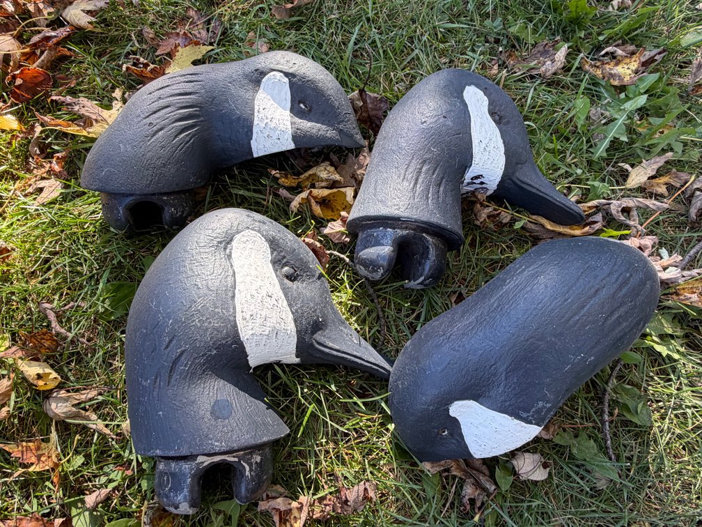 Goose Decoys