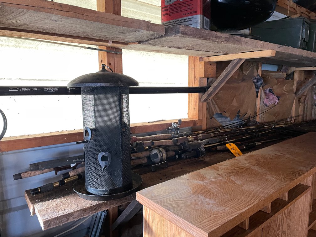 Assortment of Fishing Rods and Reels