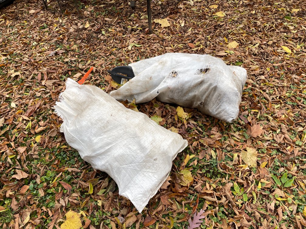 (2) Bags of Duck Decoys