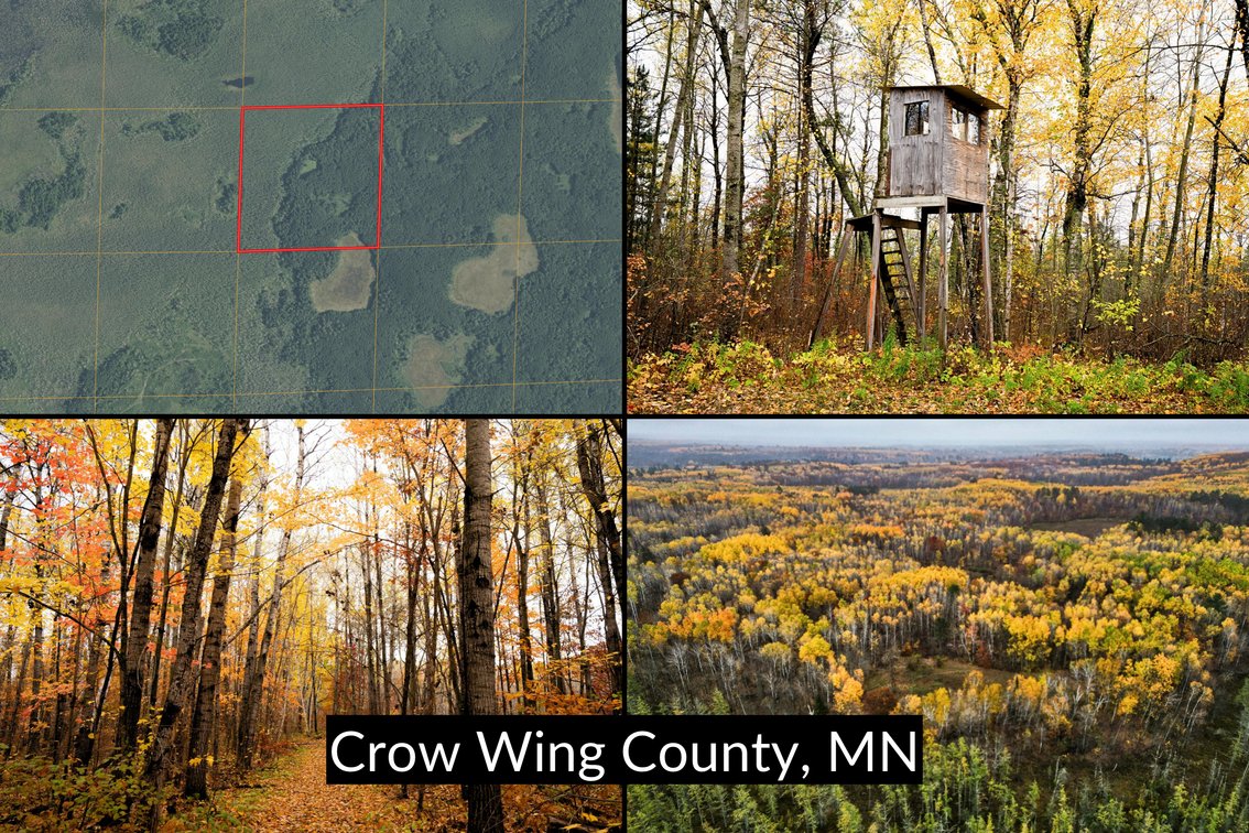 xxx Emily, MN 56447