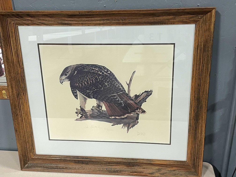 Dan DeKoch Hawk Framed Print (T4)