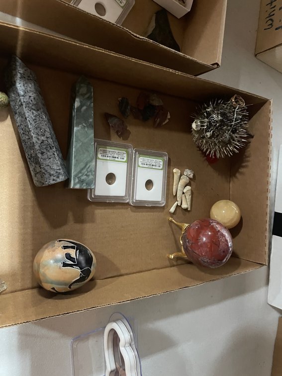 Estate Lot of Fossils, Meteorite and Crystals (T5)