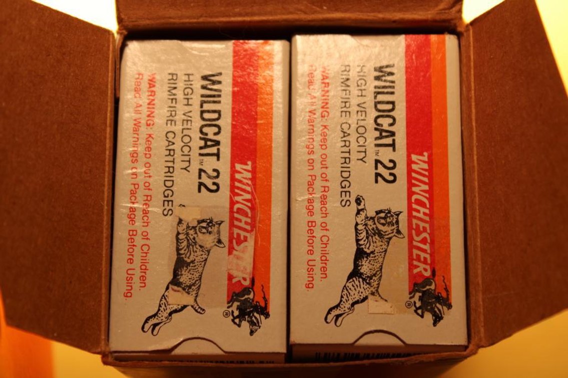.22 Winchester Wildcat Ammunition