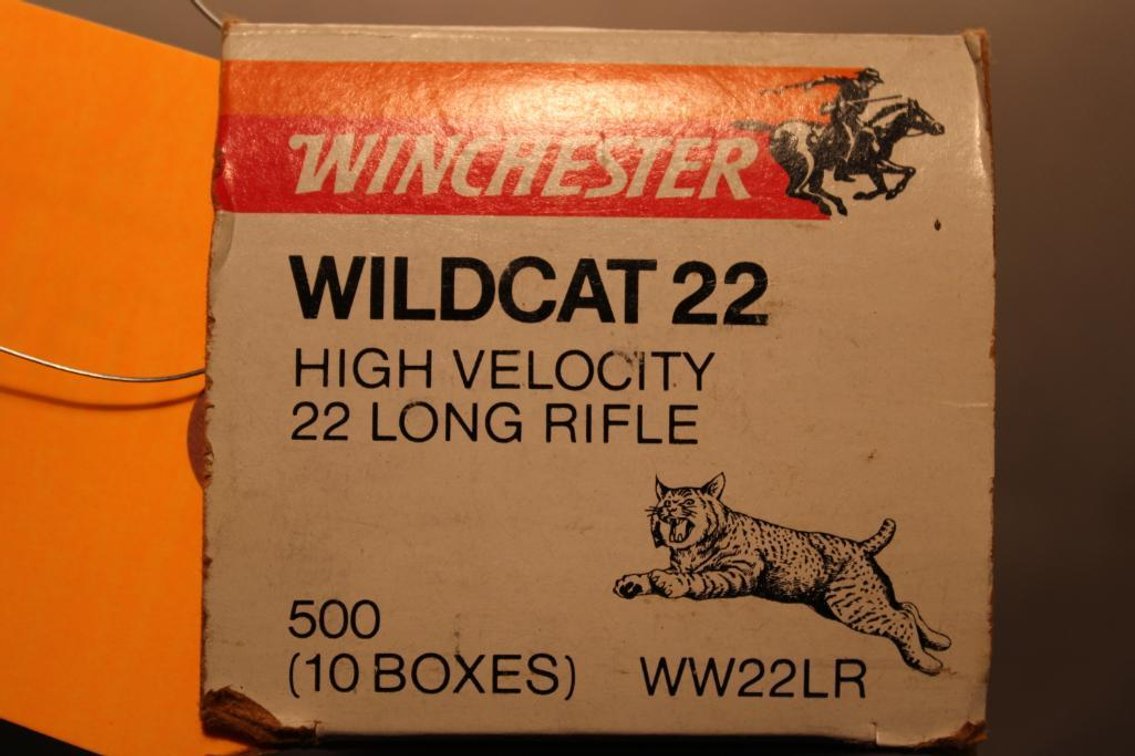 .22LR Winchester Wildcat Ammunition