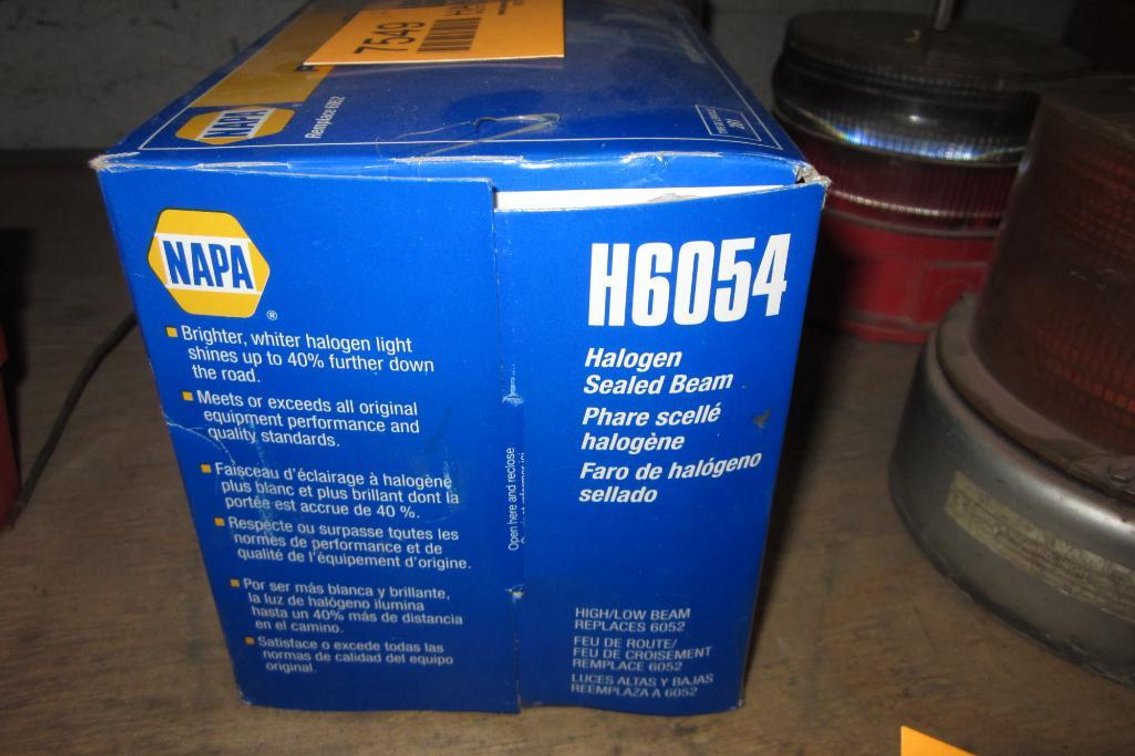 Halogen Sealed Beam Light (PR18)