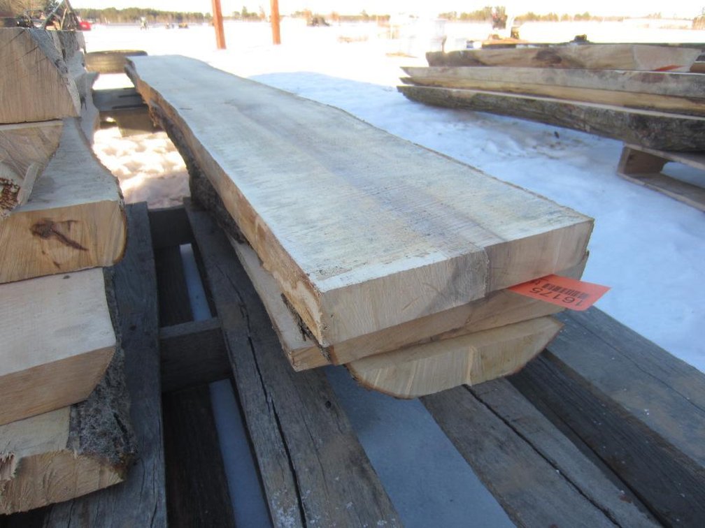 Hard Maple Live Edge Boards. (4) 11' Long. Thickness Varies Measurements Are  Approximate. Mosinee WI. (Nitke Yard)