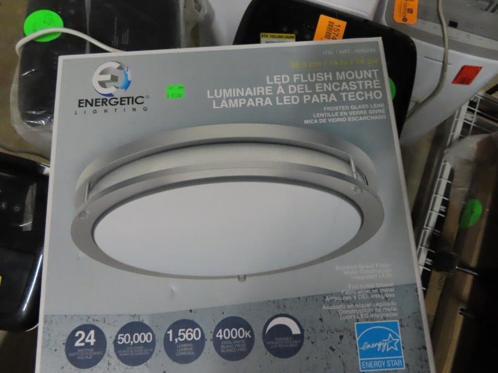 Energetic Lighting - LED Flush Mount Ceiling Light (3)