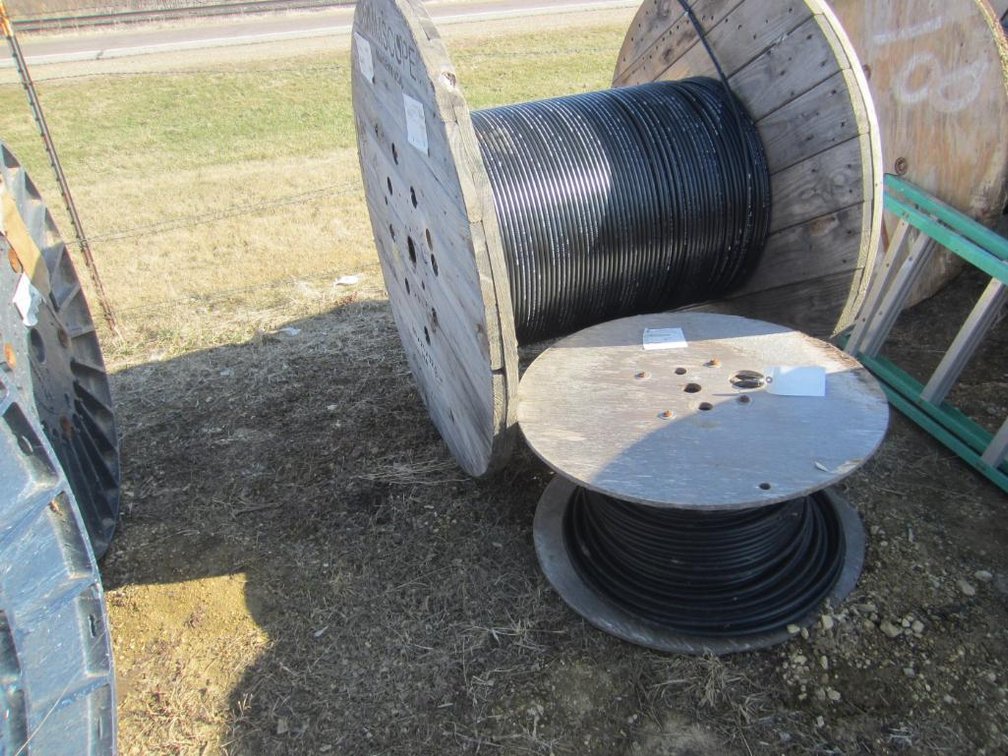 We are sorry for any inconvenience, but this lot has been removed from the auction. Registered bidders will be notified if and when this item will be available for bidding again. 