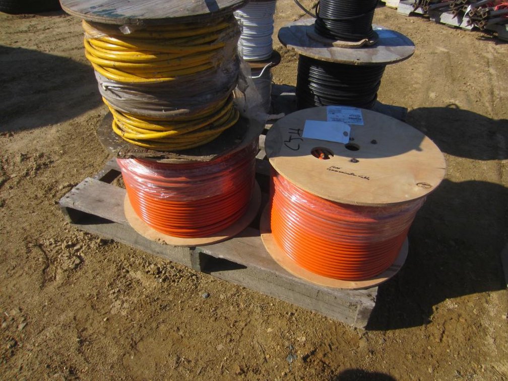 We are sorry for any inconvenience, but this lot has been removed from the auction. Registered bidders will be notified if and when this item will be available for bidding again. 