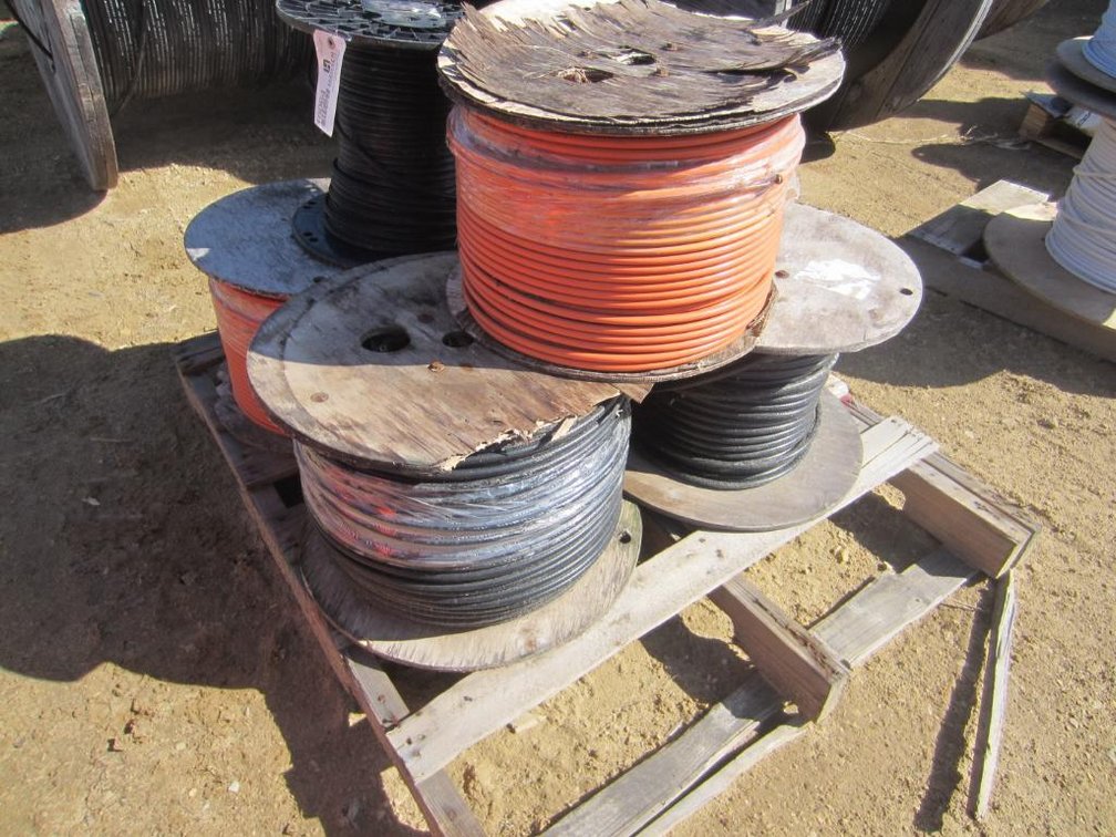 We are sorry for any inconvenience, but this lot has been removed from the auction. Registered bidders will be notified if and when this item will be available for bidding again. 