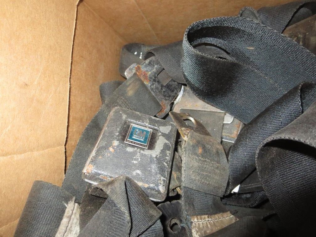 GM Seat Belts