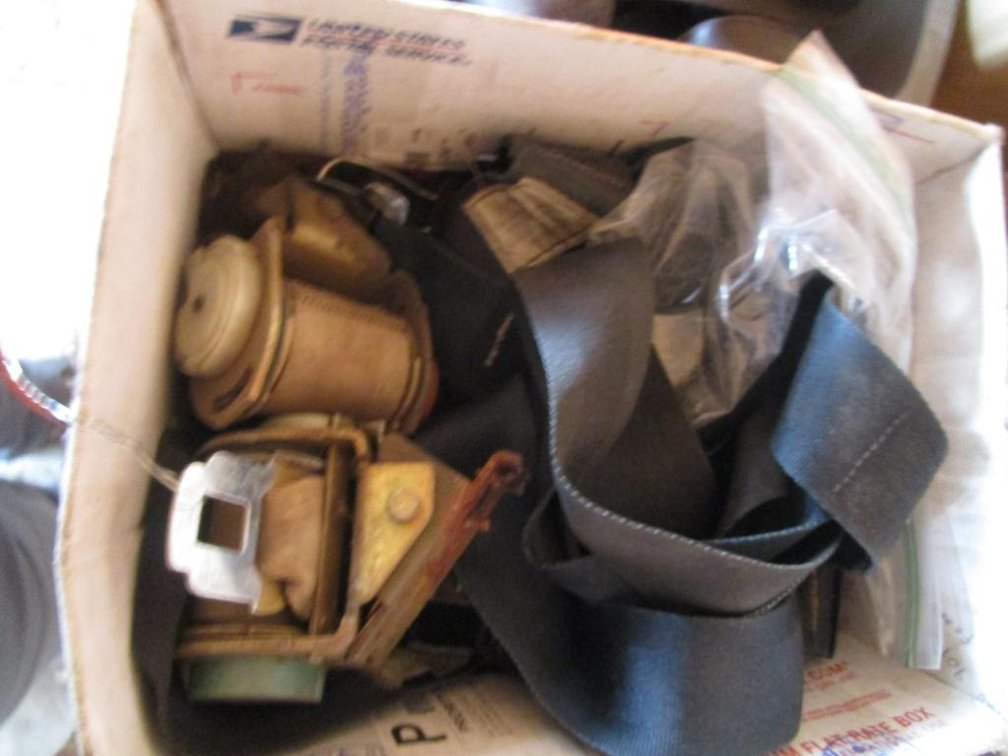 GM Seat Belts
