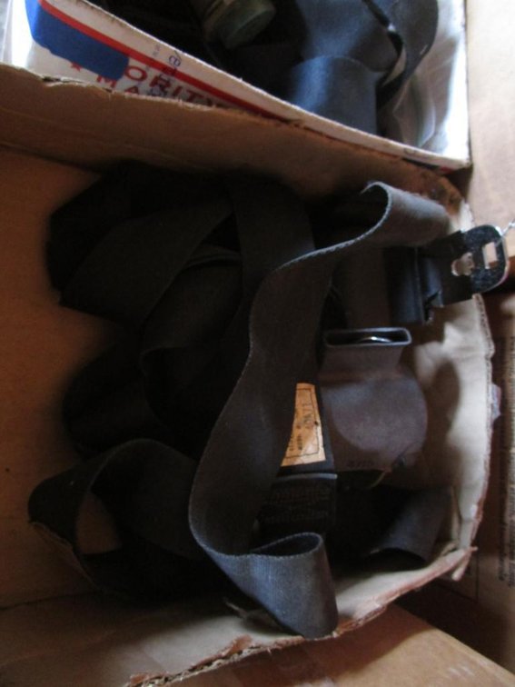 GM Seat Belts