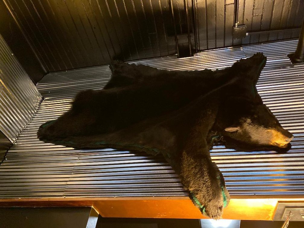 Large Real Black Bear Taxidermy With Head And Claws