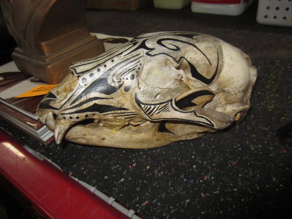 Painted Bear Skull (T16)