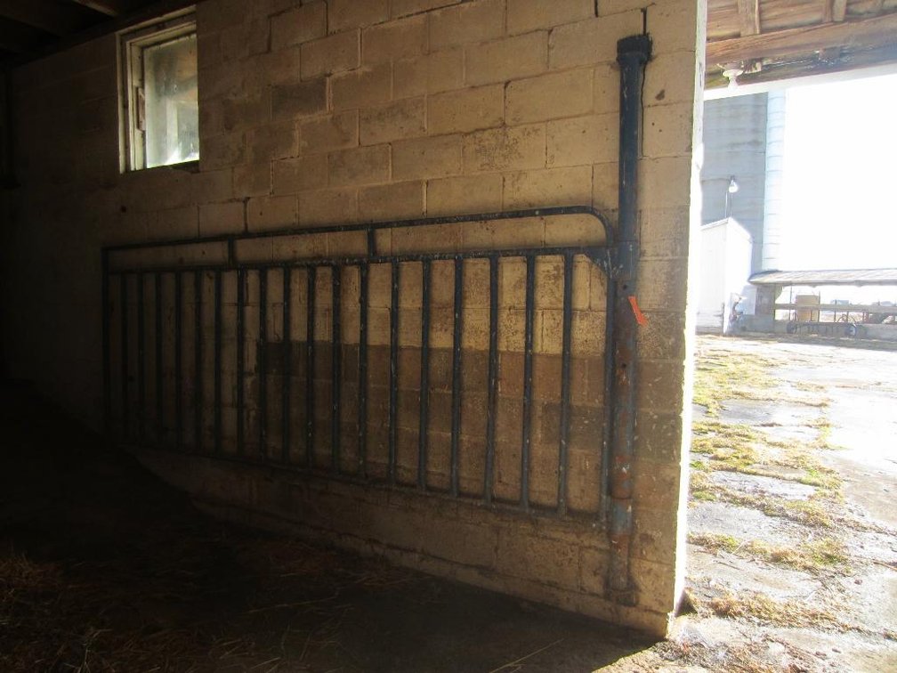 11'x4' Steel Swinging Gate with 1 1/2" Pipe