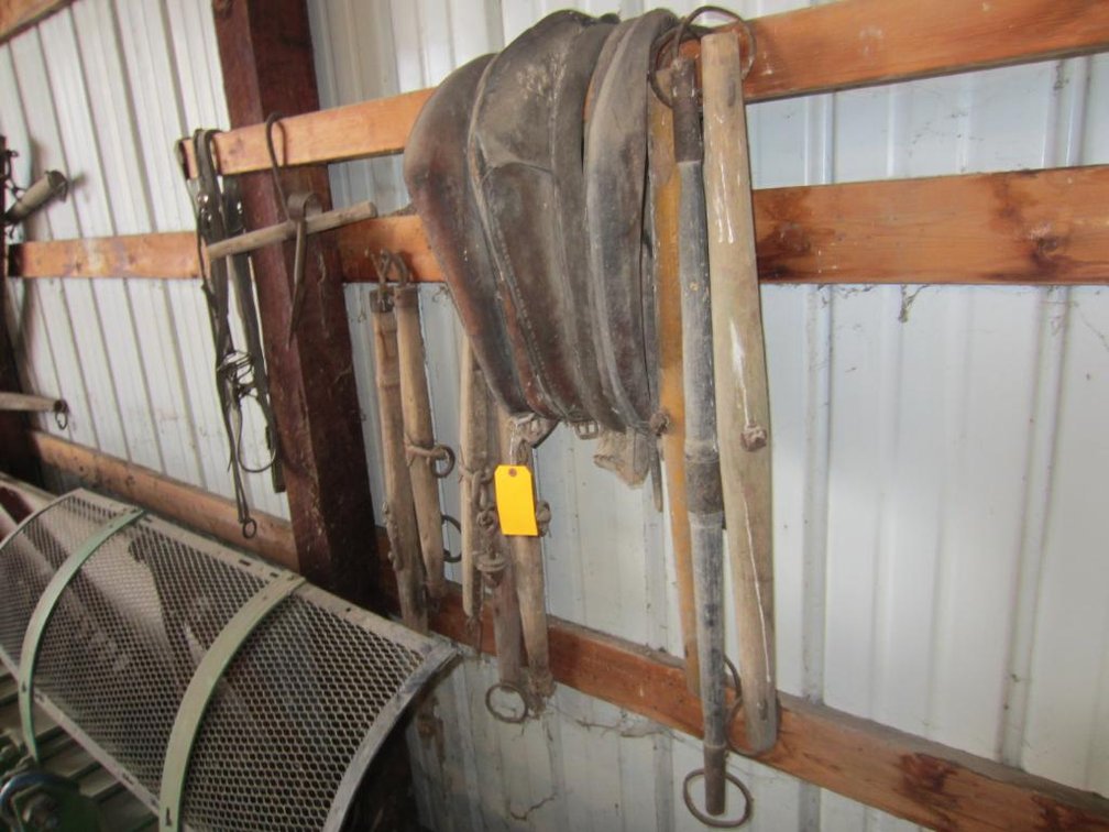 Evener, Single Trees and Horse Collars