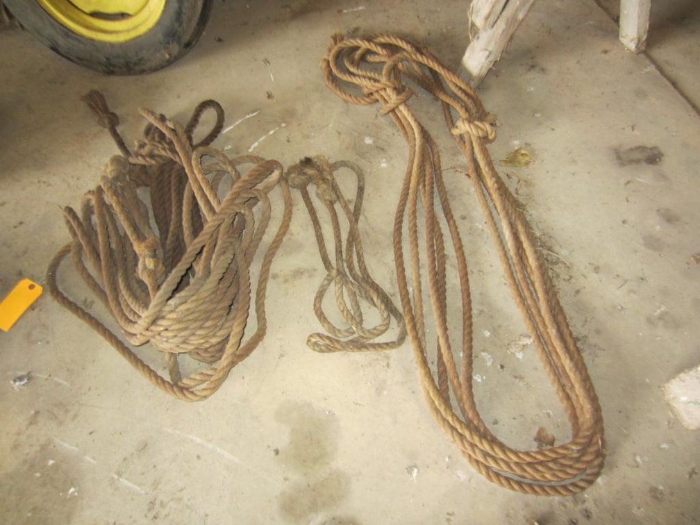 (3) Ropes and Saw Horses