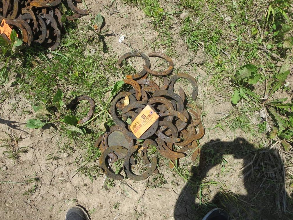 Horse Shoes