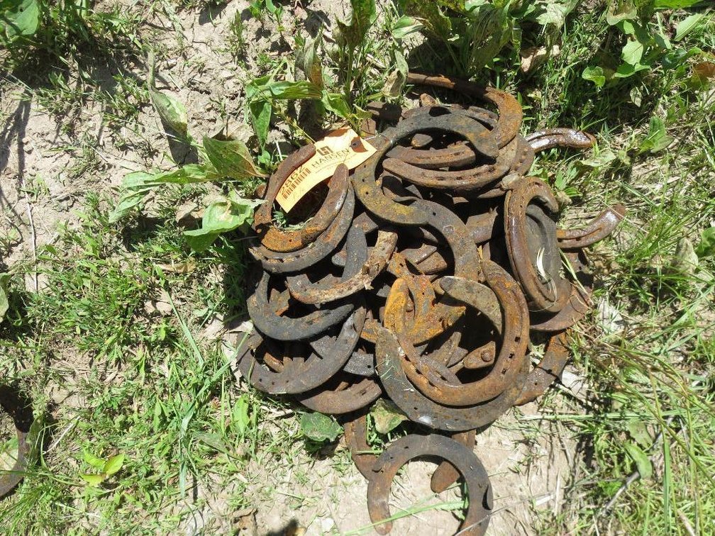 Horse Shoes