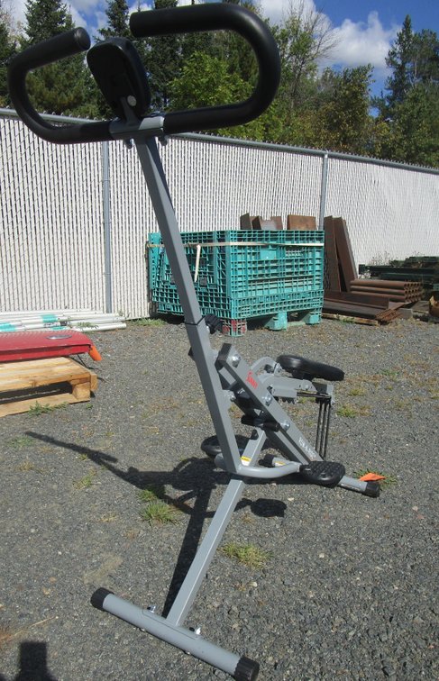 Sunny Row-N-Ride Exercise Machine