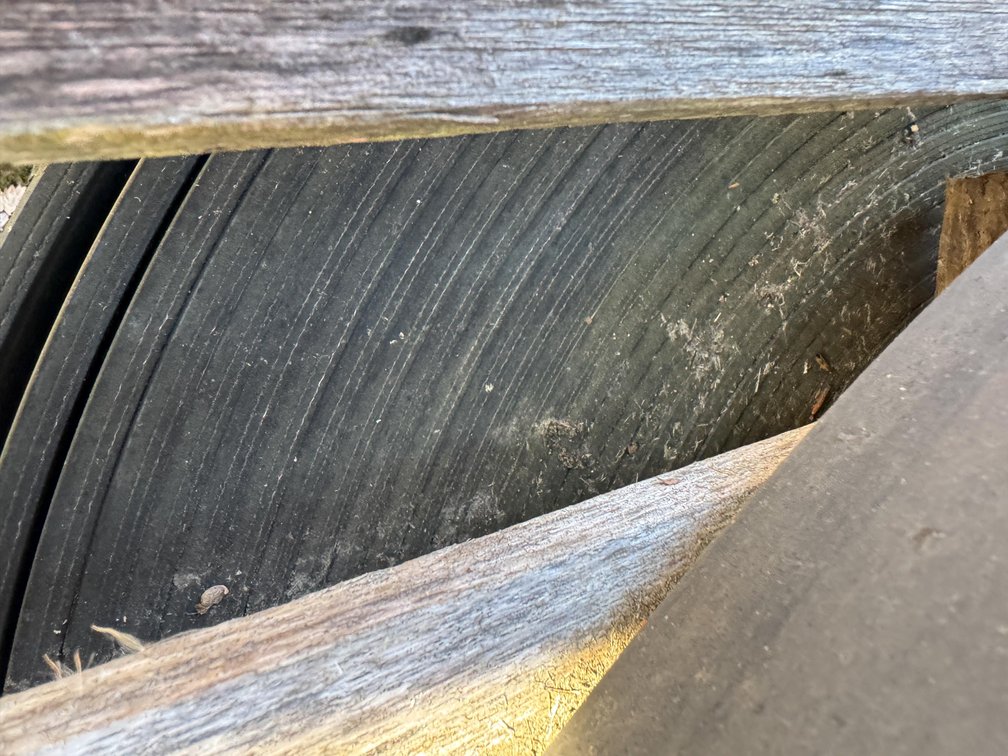 3/8" x 18" Wide Conveyor Belting  (Waldo, WI)