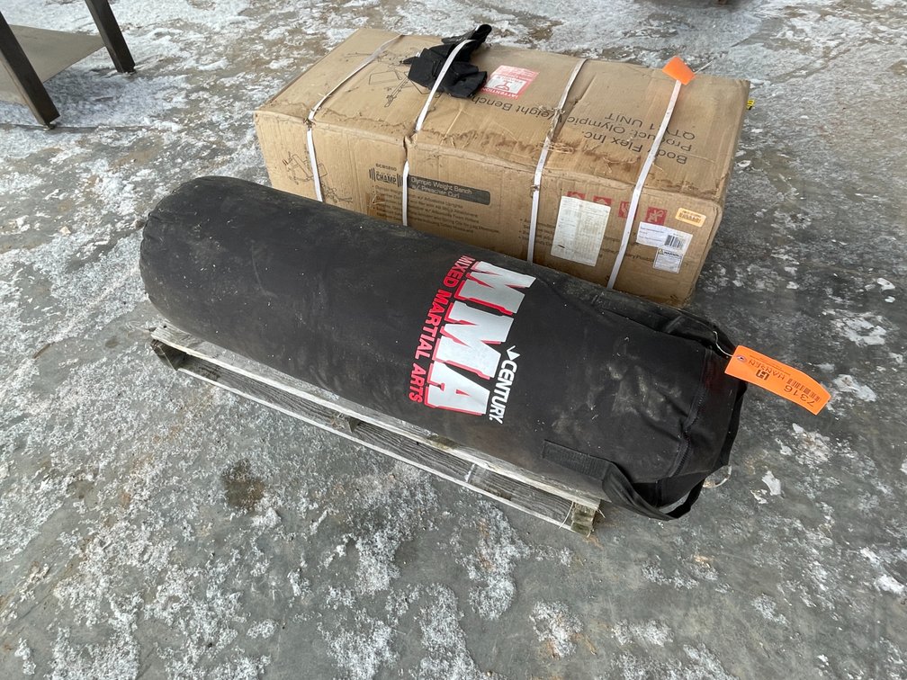 Century Punching Bag