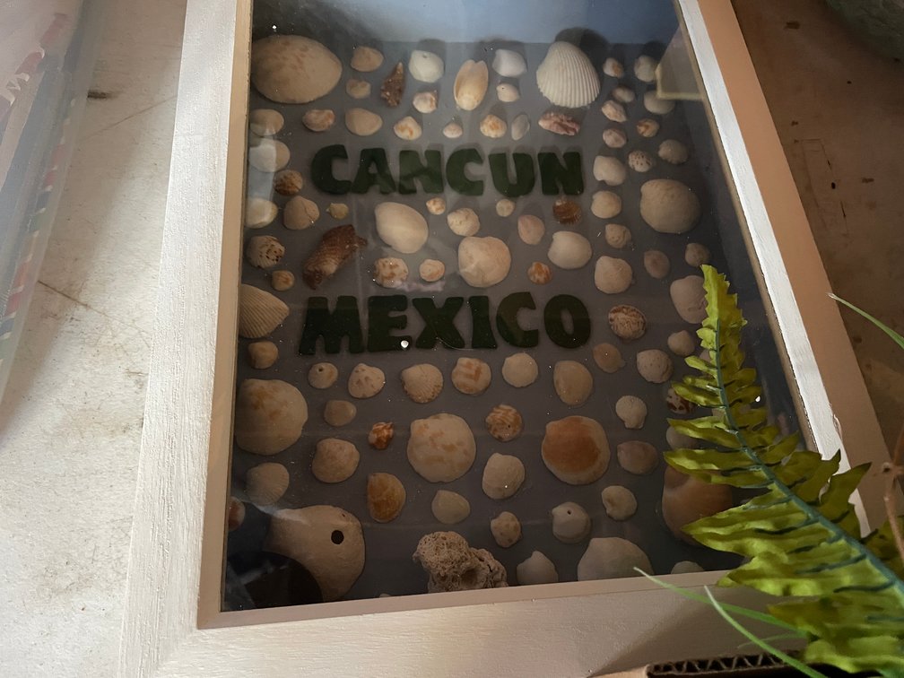 Sea Shell Collection and More