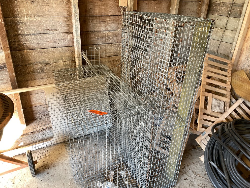 Wire Chicken Crates