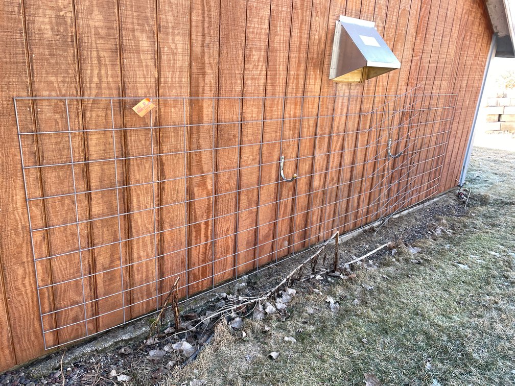 Cattle Panel